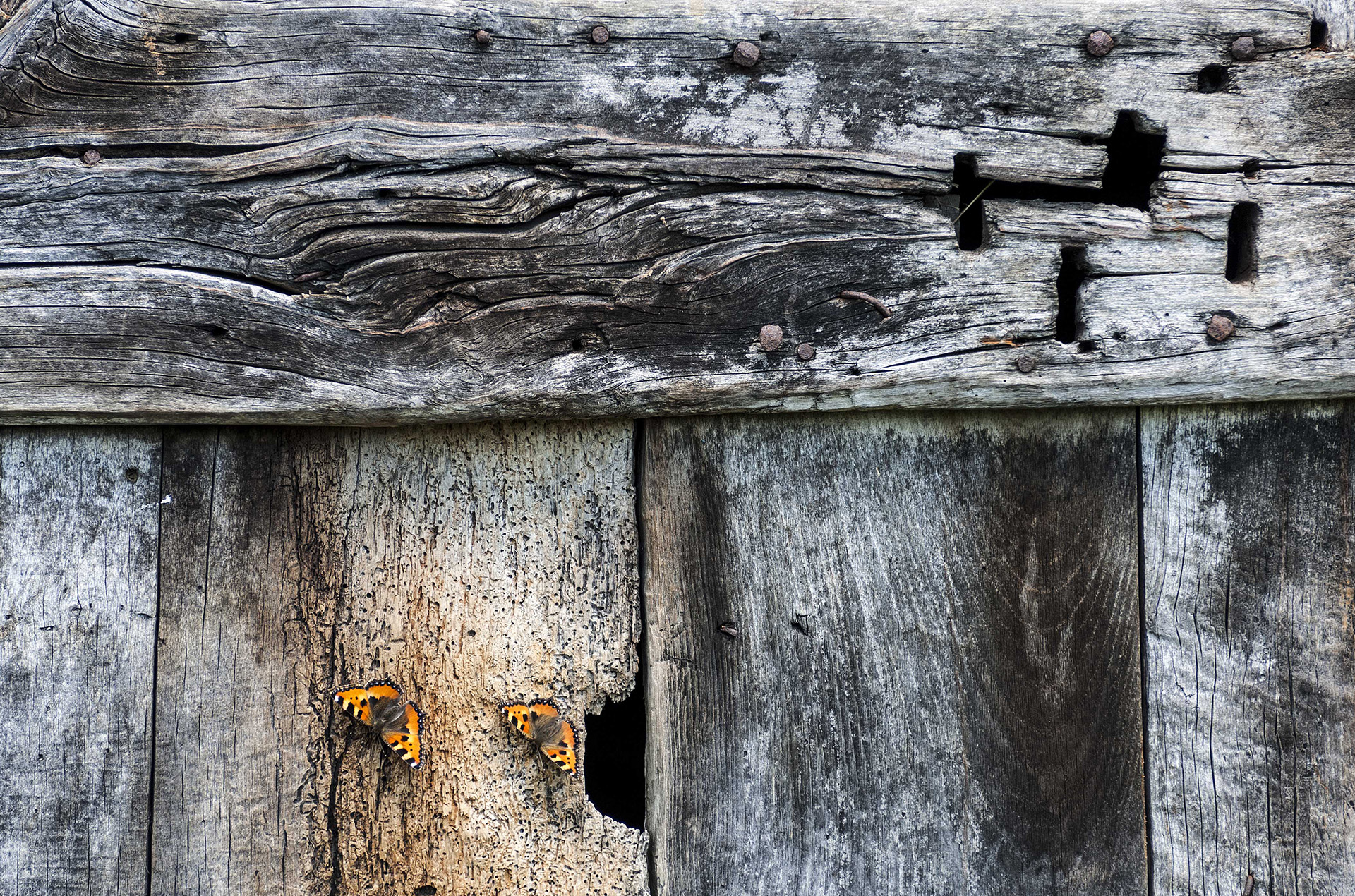 Foto &copy; M. Mazzoleni