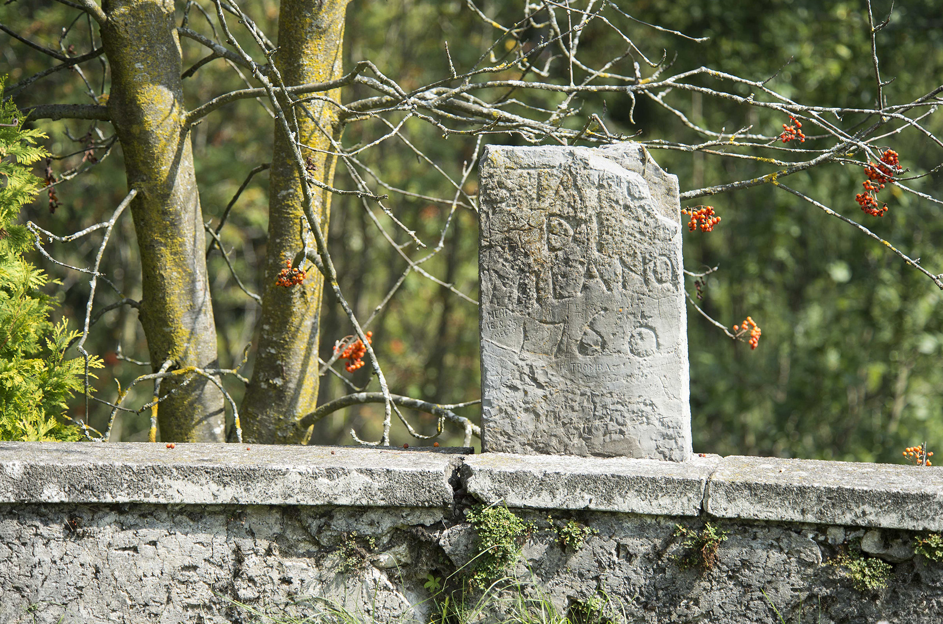 Reggetto. Foto © M. Mazzoleni