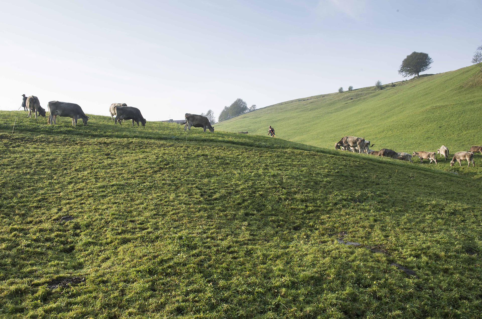 Foto &copy; M. Mazzoleni