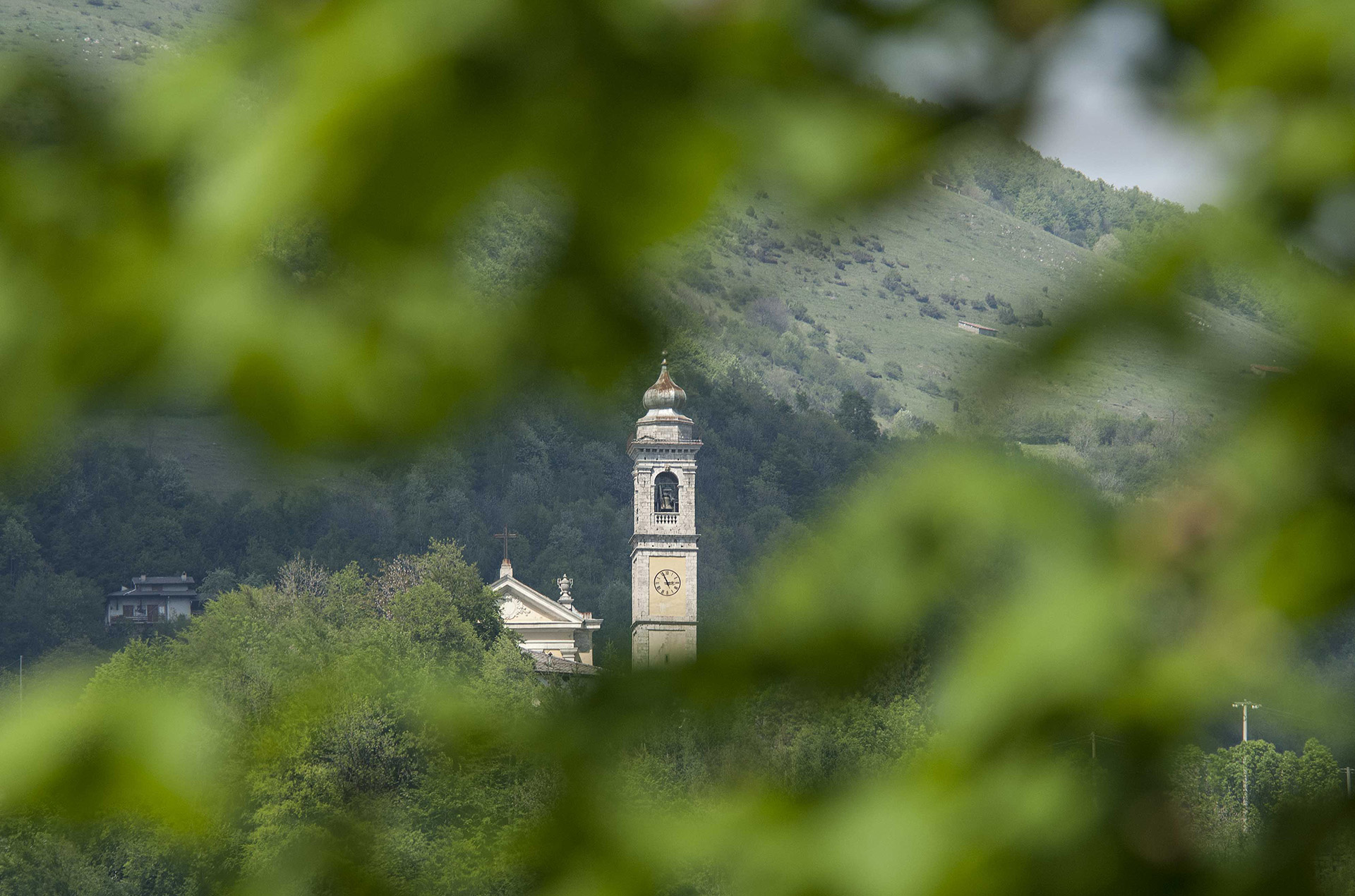 Taleggio. Foto © M. Mazzoleni