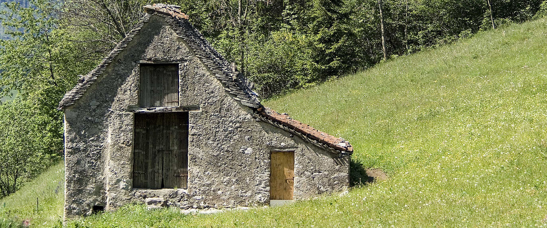 Taleggio. Foto &copy; M. Mazzoleni