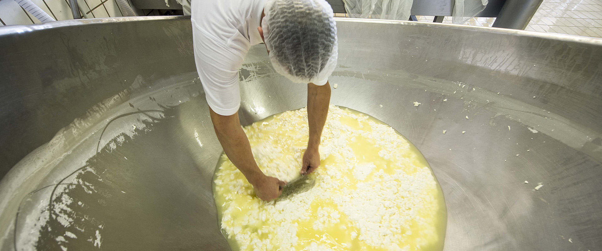 formaggio bitto o similli