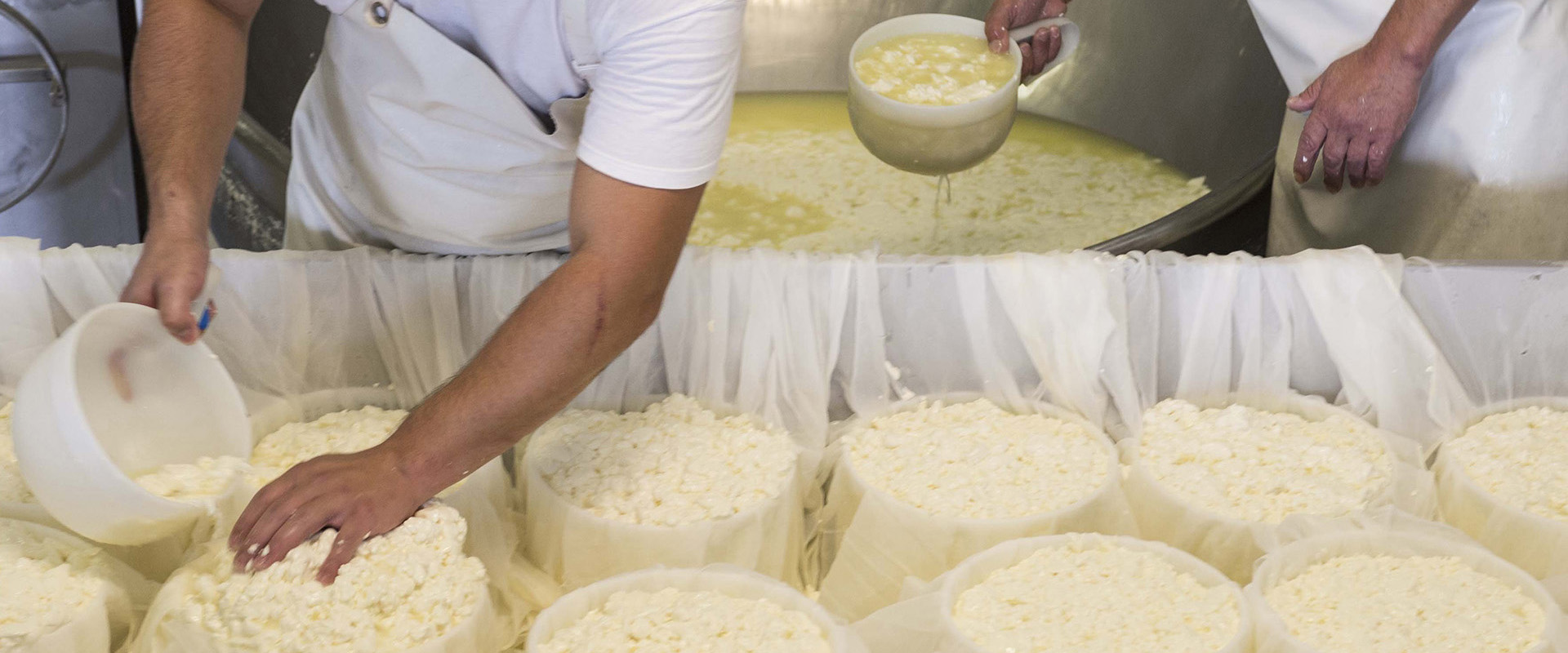 formaggi che fermentano