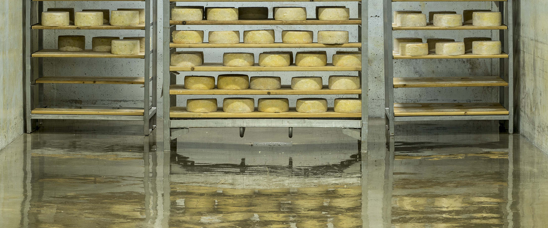 formaggi che fermentano