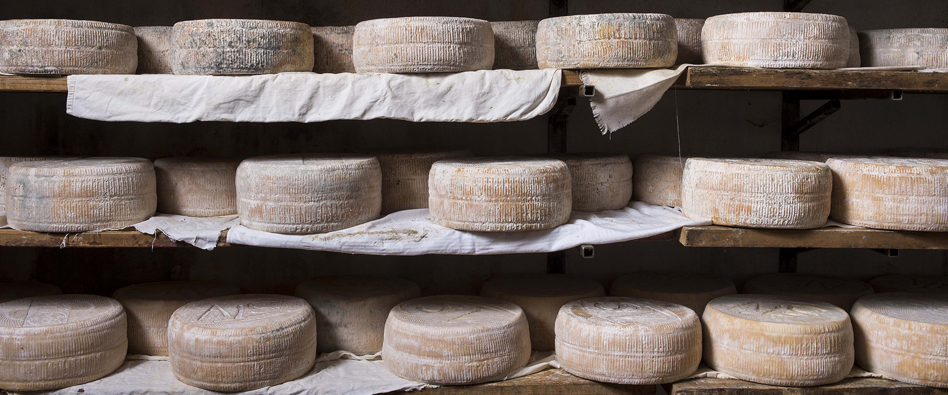 formaggi che fermentano