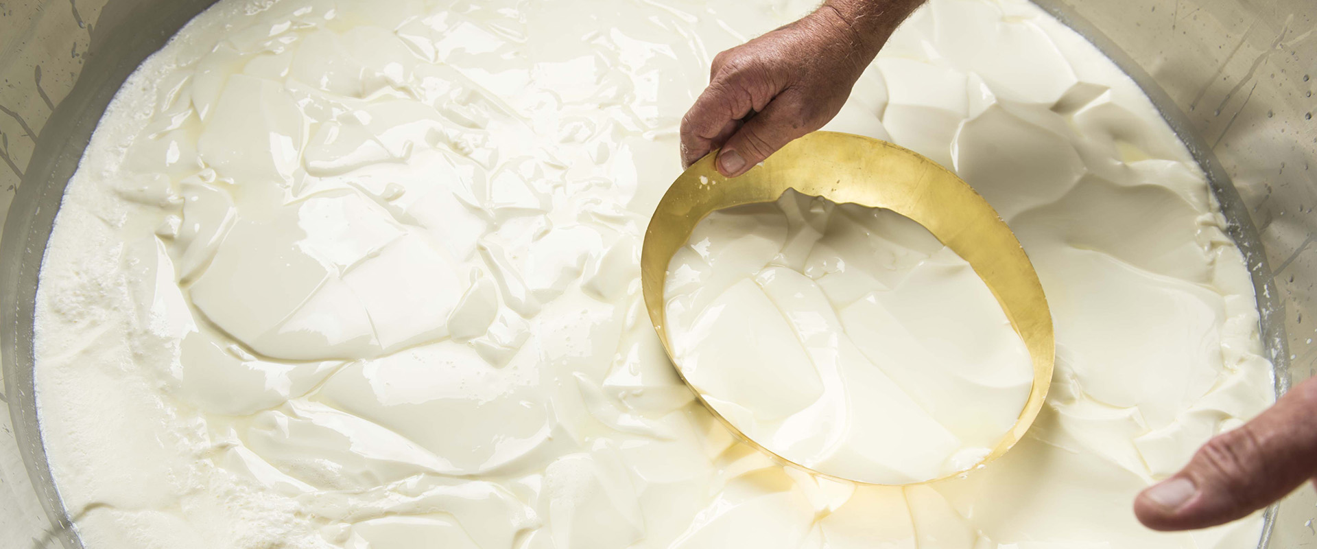 formaggi che fermentano