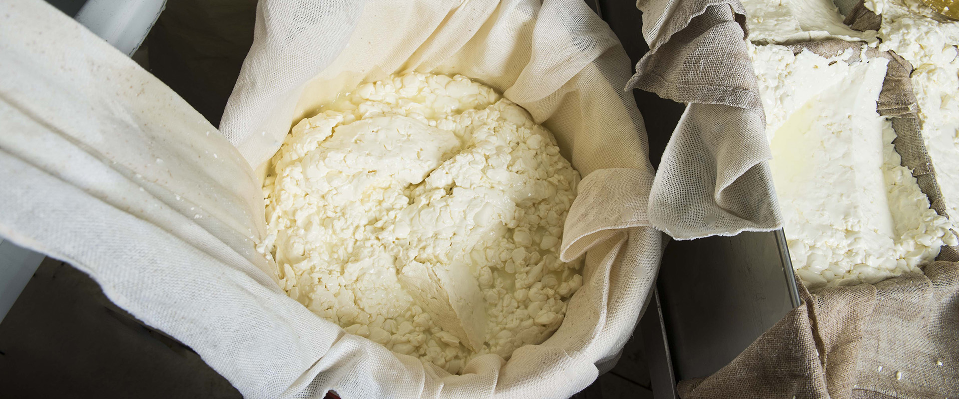 formaggi che fermentano
