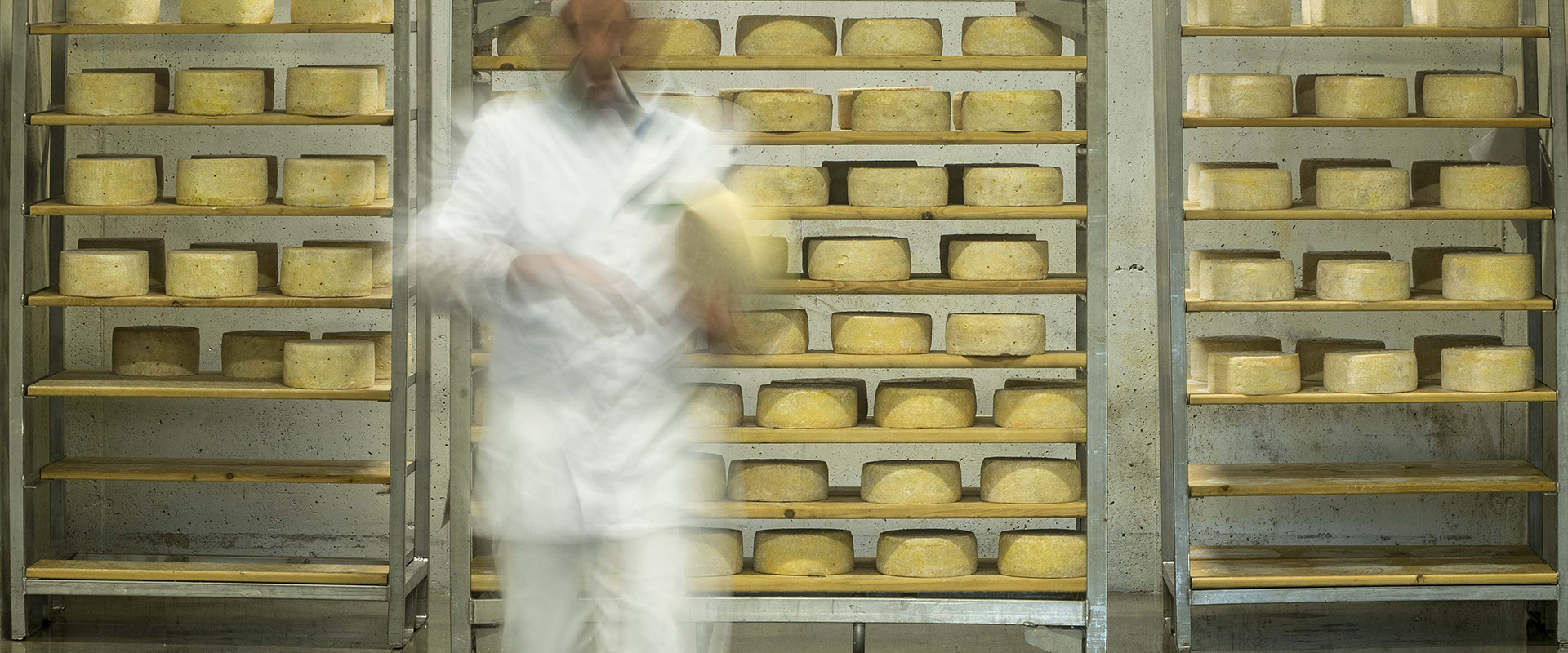 Formaggi Valtaleggio